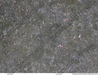 Photo Textures of Ground Grass Frozen